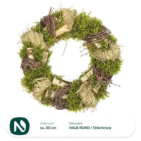 Wr Easter Hooi Birch 30cm