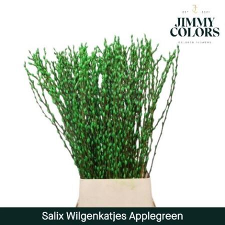 Salix Wilgenkatjes Appel Groen 120cm