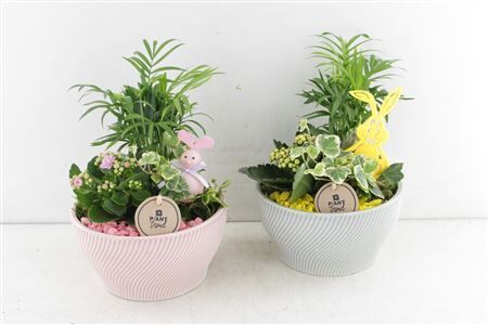 Arr2 Pl Ker. Schaal Glitch - Mix