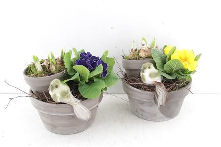 Arr6 Outdoor Pl - Ker. Bloempot Tau