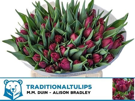 Tu Du Alison Bradley