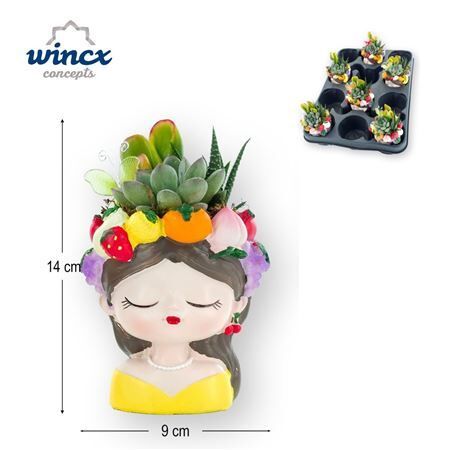 Arr Tutti Frutti Succulen