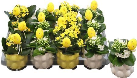 Kal Easter Keramiek Bobbel Egg