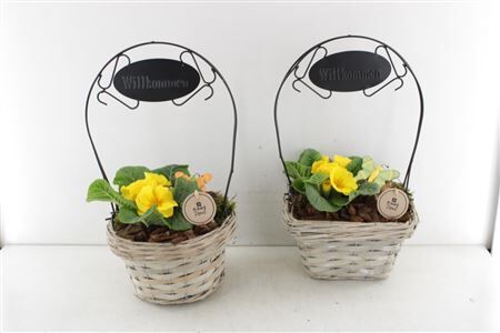 Arr6 Outdoor Pl - Mand Willkommen M