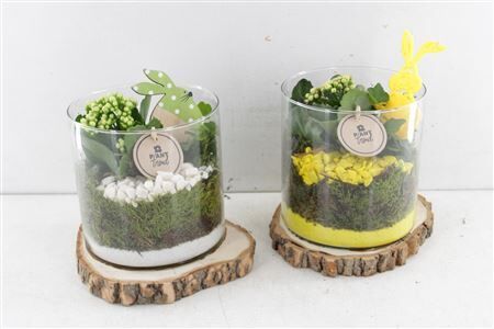 Arr2 Pl Cilinder Op Schijf - Geel/w