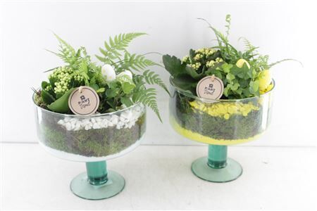 Arr2 Pl Glas Op Voet Sofia - Geel/w