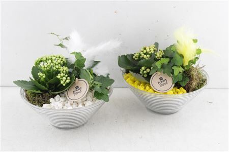 Arr2 Pl Glas Schaal Ribbel - Geel/w