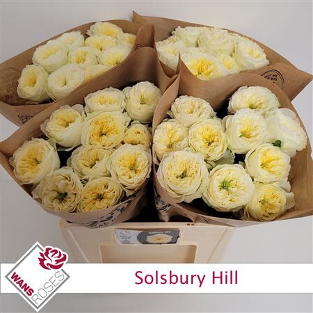 R Bu Solsbury Hill