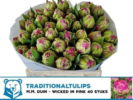 Tu Du Ov Wicked Pink