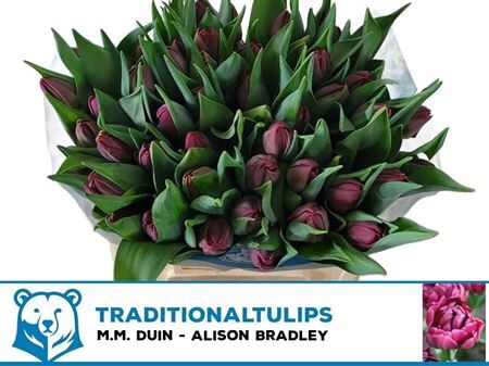 Tu Du Alison Bradley