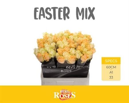 R Gr Avalanche Easter Mix
