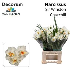 Narc Du W Churchill