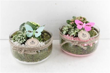 Arr2 Pl Bose Middel Met Touw - Roze