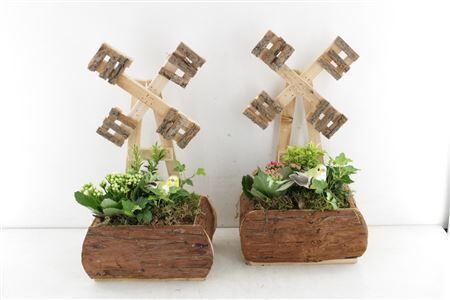 Arr2 Td Houten Molen - Mix