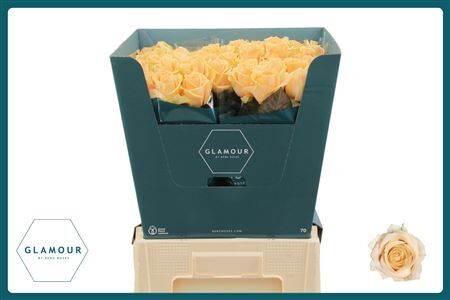 R Gr Avalanche Peach