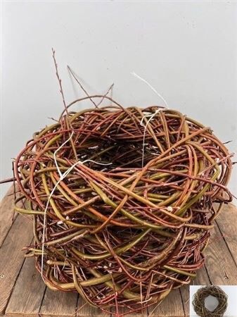 Wr Willow 45cm Naturel