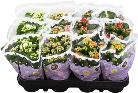 Kalan Gev Gemengd 5kl