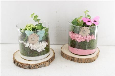 Arr2 Pl Cilinder Op Schijf - Roze/w