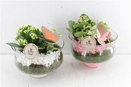 Arr2 Pl Bose Bokaal Op Voet - Mix