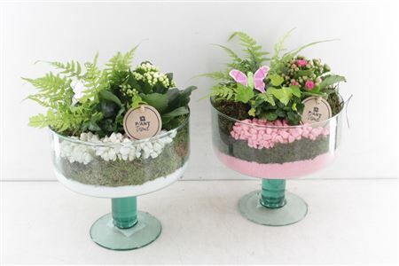 Arr2 Pl Glas Op Voet Sofia - Roze/w