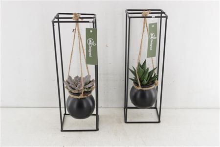 Arr2 Mb Metaal Rek Hangbol X1