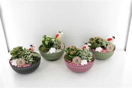 Arr2 Pl Ribbel Schaal Indoor Kleure