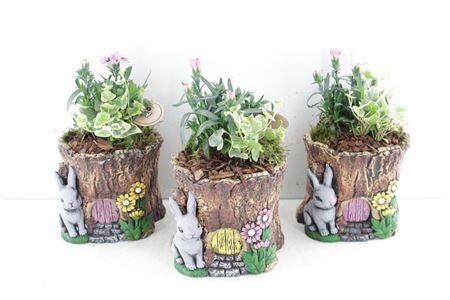 Arr6 Outdoor Pl - Boomstam Huisjes
