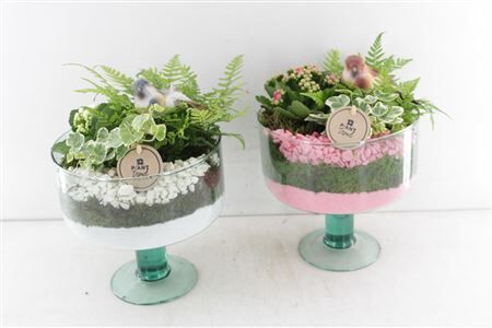 Arr2 Pl Glas Op Voet Sofia - Roze/w