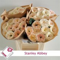 R Bu Stanley Abbey