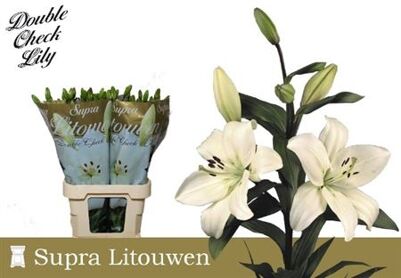 Li La Litouwen