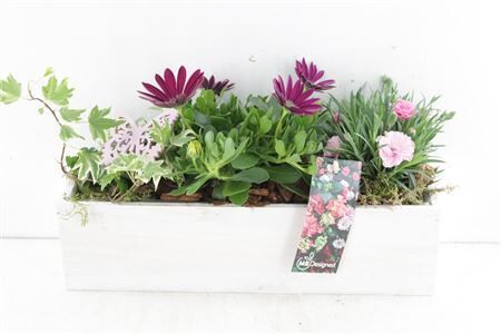 Arr6 Outdoor Mb - Kist Rechthoek Wi