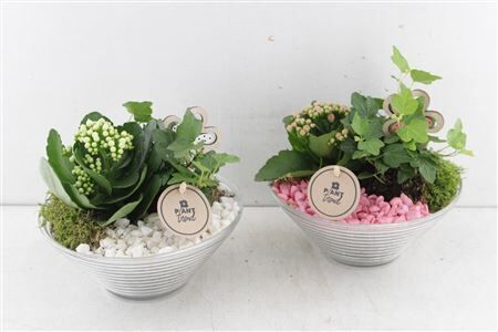 Arr2 Pl Glas Schaal Ribbel - Roze/w