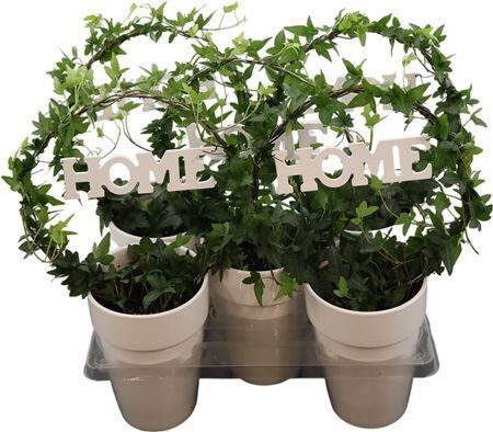 Hed He Groen Boog Keramiek + Home