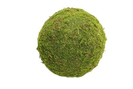 Ball Asia Moss 20cm Green