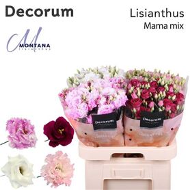 Eus G Mama Mix