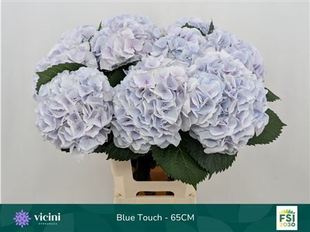 Hydr M My Beautiful Blue Touch