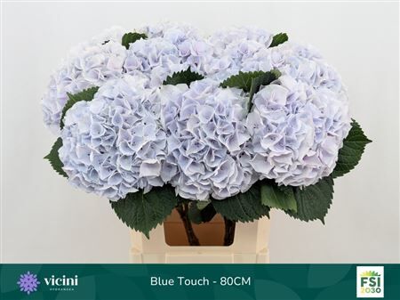 Hydr M My Beautiful Blue Touch