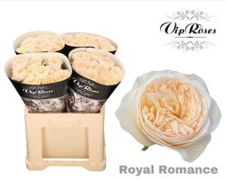 R Bu Royal Romance
