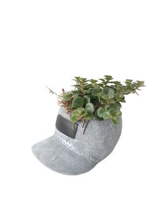Arr3 Sn Ker. Denim Cap 13cm Grey Se