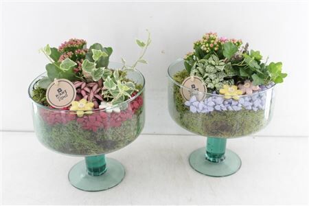 Arr2 Pl Glas Op Voet Sofia - Roze/w