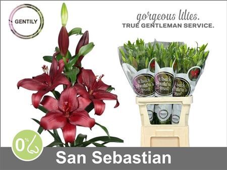 Li La San Sebastian