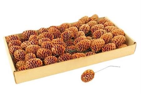 Stem Sabulosum Cream O/w 80pc