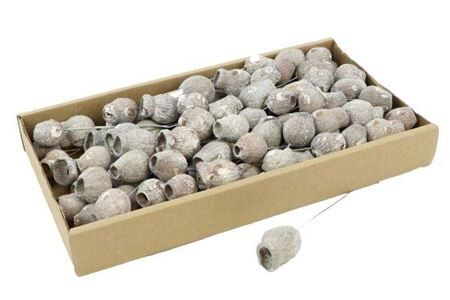 Stem Bellgums On Wire 100pc