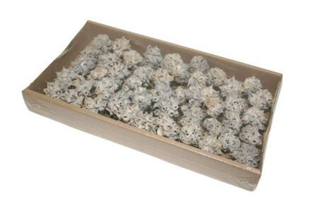Stem Spidergum Knobs O/w 35pc