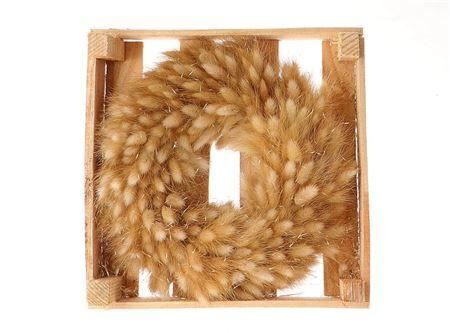 Wr Lagurus 30cm Naturel