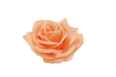 Wax Rose D10 Peach
