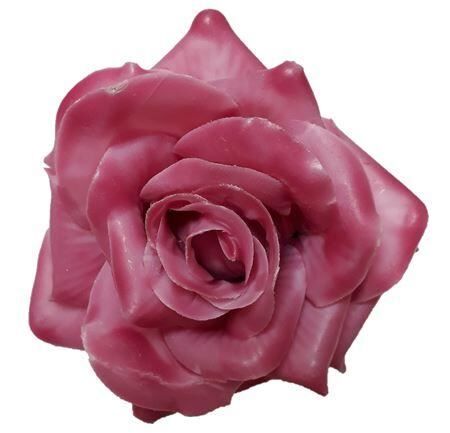 Wax Rose D10 Old Pink