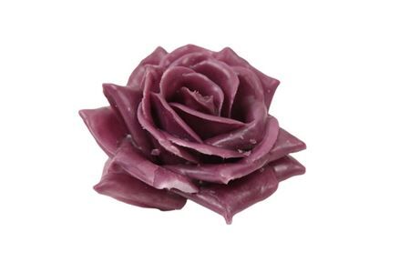 Wax Rose D10 Aubergine