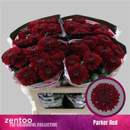 Chr G Parker Red