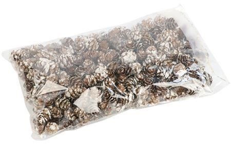 Pinecone Baby Spruce 2-3cm